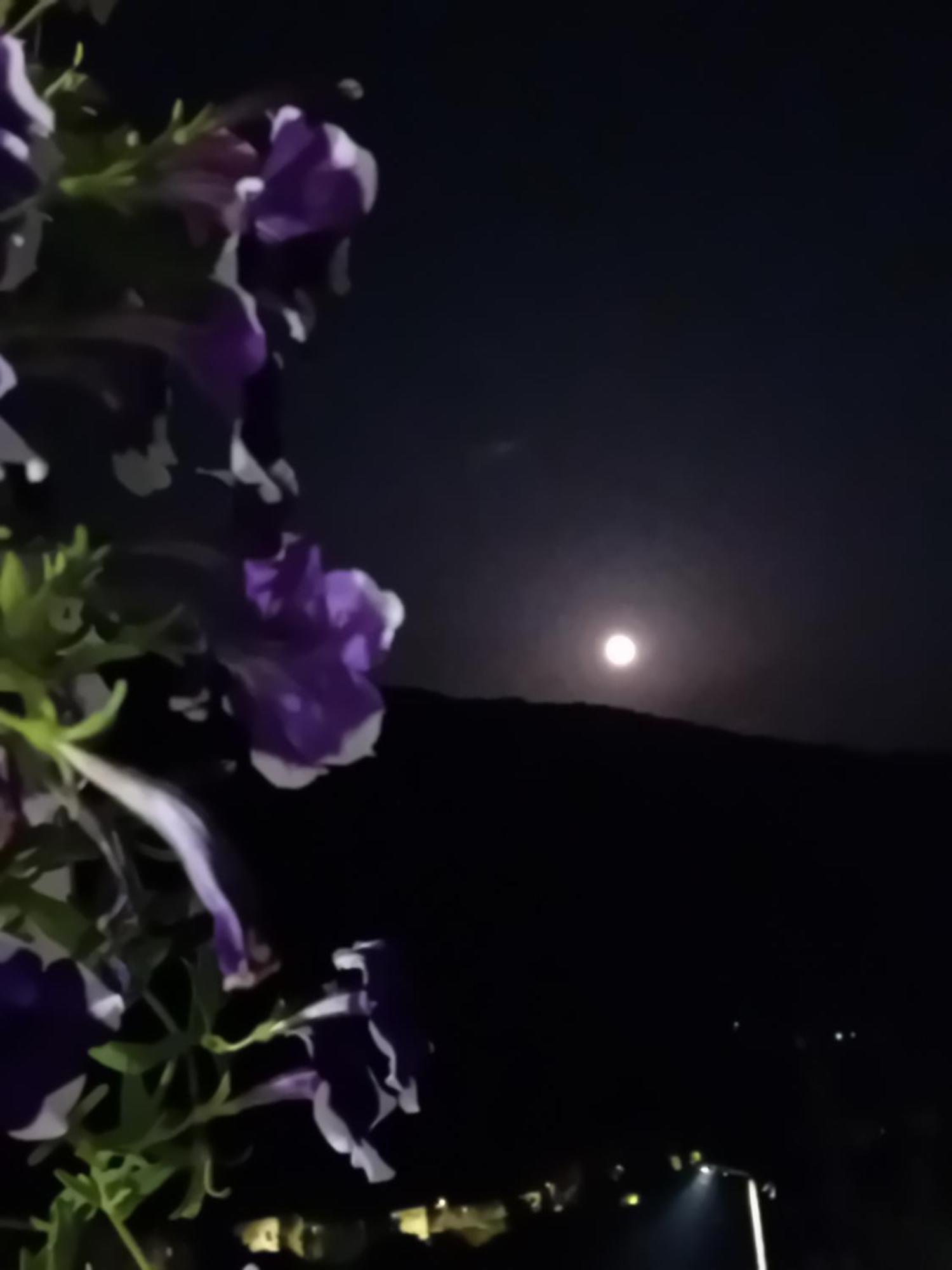 شقة Mala Kuca فوتشا المظهر الخارجي الصورة